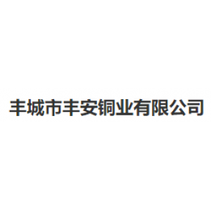 丰城丰安铜业有限公司