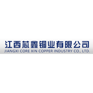 江西芯鑫铜业有限公司