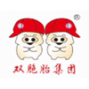 双胞胎（集团）股份有限公司