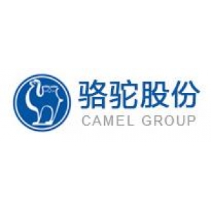 骆驼集团股份有限公司