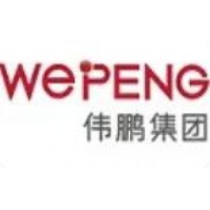 武汉伟鹏控股有限公司