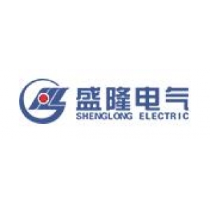 盛隆电气集团有限公司