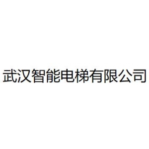 武汉智能电梯有限公司