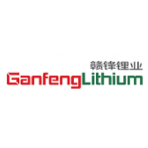 奉新赣锋锂业有限公司