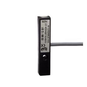 德国IPF感应式传感器IB991281 德国IPF感应式传感器IB991281