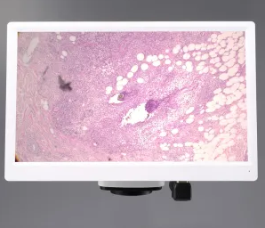 日本原装MEIJI明治 全高清 C 卡口相机