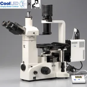 日本原装MEIJI明治 带大功率 LED 照明的倒置荧光显微镜TC5600L/PE-300LITE