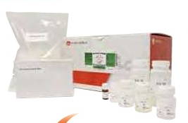 ASH理化制作所 核酸纯化试剂盒 08111-96