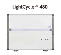 ASH理化制作所 LightCycler®消耗品 49777-31
