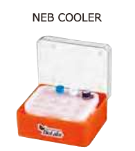 ASH理化制作所 灭菌一次性手套1只 96930-23