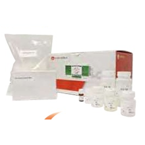 ASH理化制作所 核酸纯化试剂盒 08204-96