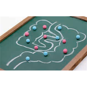 ASH理化制作所 培养基 07026-09