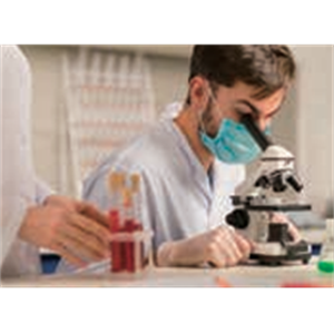 ASH理化制作所 大肠菌 717602-4