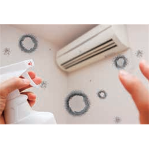 ASH理化制作所 卫生指标菌 71754-61