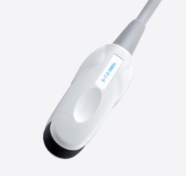 HONDA本多兽医超声成像系统探头HCS-5712M