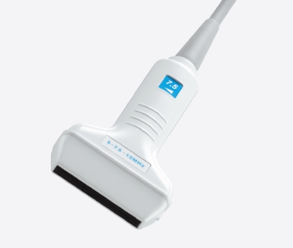 HONDA本多兽医超声成像系统配置探头HLS-575M