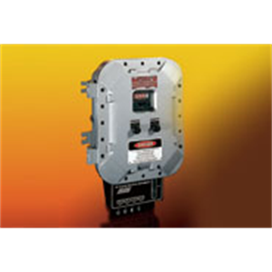 原装进口TELEDYNE分析仪器3020M 型号