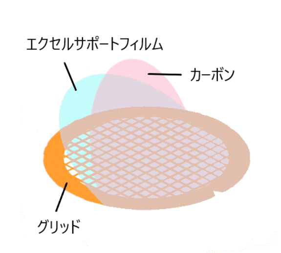 日本NISSHIN日新 支撑膜 Cat.No.649 200目铜